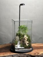 تراریوم مارچوبه چراغدار طرح راه بهشت - Image 2