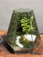 تراریوم + موساریوم پک طرح فلت 25 Cm - Image 4