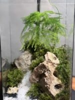 تراریوم مارچوبه چراغدار طرح راه بهشت - Image 5