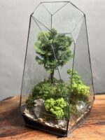 تراریوم بنسای نانا طرح فاکس 40 Cm - Image 3