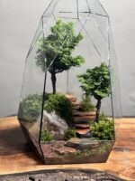 تراریوم بنسای نانا طرح دبل الماس - Image 3