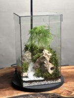 تراریوم مارچوبه چراغدار طرح راه بهشت - Image 4
