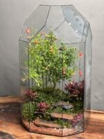 تراریوم لاکچری بنسای انار طرح رد پلاس - Image 2