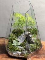 تراریوم مارچوبه طرح بلک استون - Image 3