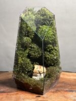 موساریوم طرح طبیعت راک لاو 40 Cm (تراریوم) - Image 2