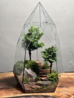 تراریوم بنسای نانا طرح دبل الماس - Image 2