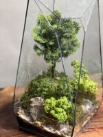 تراریوم بنسای نانا طرح فاکس 40 Cm - Image 4