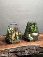 تراریوم + موساریوم پک طرح فلت 25 Cm - Image 2