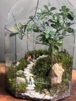 تراریوم بنسای پیتسپروم طرح تاب زندگی - Image 4