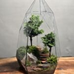 تراریوم بنسای نانا طرح دبل الماس