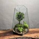 تراریوم بنسای نانا طرح فاکس 40 Cm