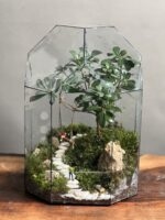 تراریوم بنسای پیتسپروم طرح تاب زندگی - Image 2
