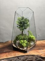 تراریوم بنسای نانا طرح فاکس 40 Cm - Image 2