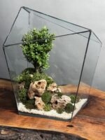 تراریوم چند وجهی بنسای ژاپونیکا طرح آرامش طبیعت - Image 3