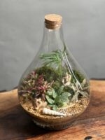 تراریوم رطوبتی طرح پوپک - Image 2