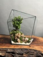 تراریوم چند وجهی بنسای ژاپونیکا طرح آرامش طبیعت - Image 2