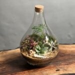 تراریوم رطوبتی طرح پوپک