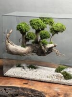 تراریوم درخت جاودان طرح دره - Image 3