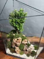 تراریوم چند وجهی بنسای ژاپونیکا طرح آرامش طبیعت - Image 4