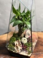 تراریوم لوتوس بامبو طرح طبیعت 35 Cm - Image 3