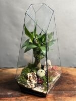 تراریوم لوتوس بامبو طرح طبیعت 35 Cm - Image 2