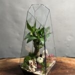 تراریوم لوتوس بامبو طرح طبیعت 35 Cm