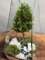 وابی کوزا طرح طبیعت 35 Cm (تراریوم) - Image 4