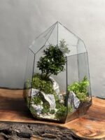 تراریوم لاکچری بنسای ژاپونیکا طرح دره الماس - Image 2