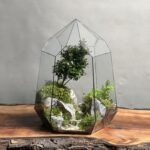 تراریوم‌ لاکچری بنسای ژاپونیکا طرح دره الماس