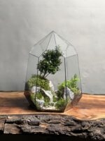 تراریوم لاکچری بنسای ژاپونیکا طرح دره الماس