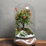 تراریوم بنسای انار طرح دات موج