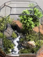 تراریوم بنسای ژاپونیکا طرح هیون
