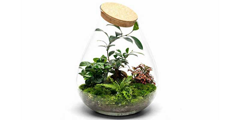 هدیه برای افتتاحیه