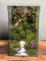 موساریوم طرح مکعب رویال (تراریوم)