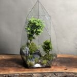 تراریوم لاکچری بنسای ژاپونیکا طرح الماس سبز