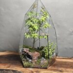 تراریوم بنسای افرا طرح بیگ الماس