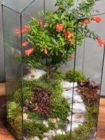 تراریوم لاکچری بنسای انار طرح تال گنبد