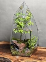 تراریوم بنسای افرا طرح بیگ الماس