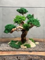 تراریوم درخت جاودان طرح آوای طبیعت