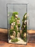 تراریوم مینی طرح دره تگزاس
