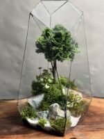 تراریوم بنسای نانا طرح فاکس 40 Cm