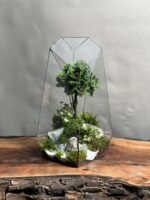 تراریوم بنسای نانا طرح فاکس 40 Cm