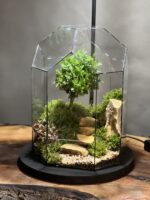 تراریوم چراغدار بنسای ژاپونیکا طرح گنبد ژاپن