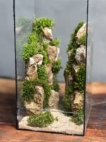 تراریوم مینی طرح دره تگزاس