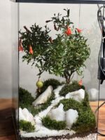 تراریوم چراغدار بنسای انار طرح رد لایت