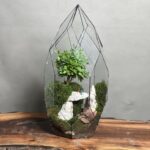 تراریوم لاکچری بنسای ژاپونیکا طرح عشق سفید