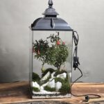 تراریوم چراغدار بنسای انار طرح رد لایت