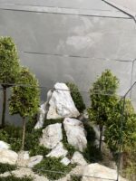 وابی کوزا لاکچری طرح جنگل سفید (تراریوم)