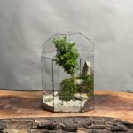 تراریوم بنسای ژاپونیکا طرح ساحل