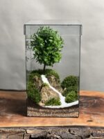 تراریوم بنسای ژاپونیکا طرح مکعب آرامش